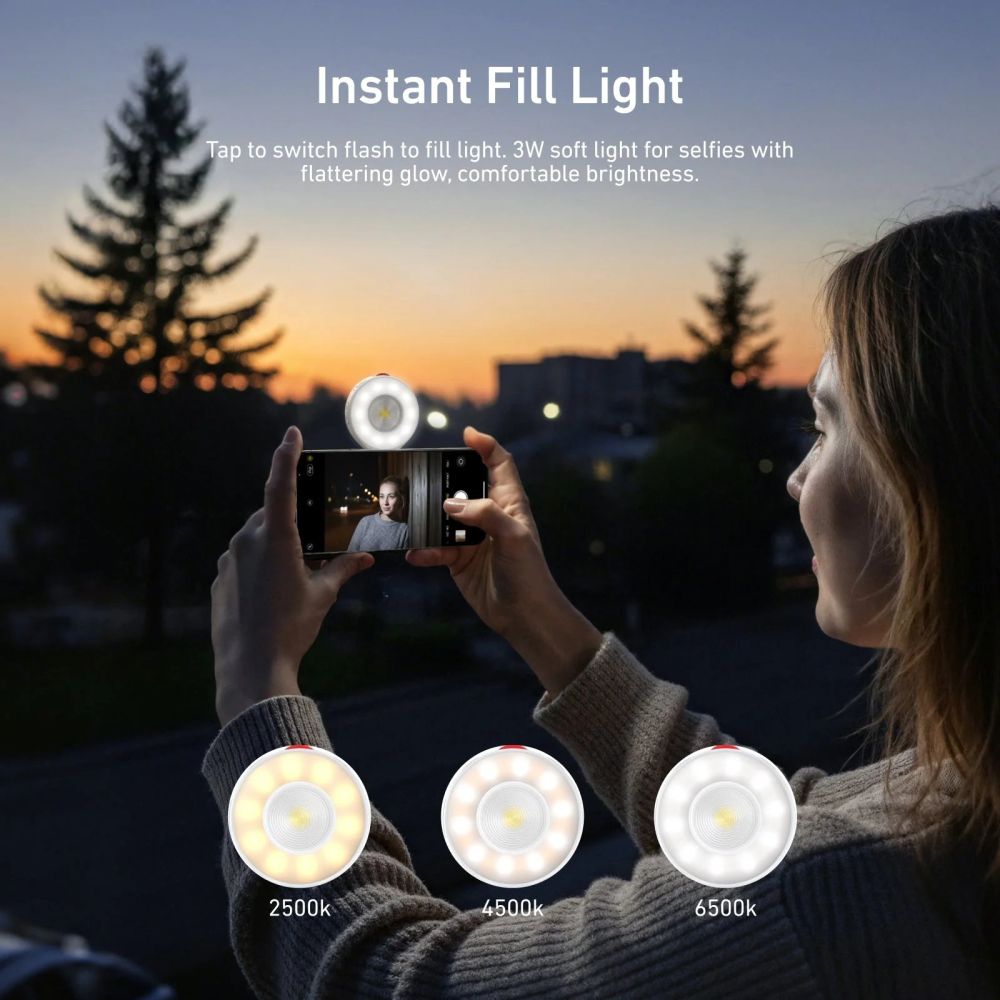Lampe torche magnétique Telesin MagSafe - Titane