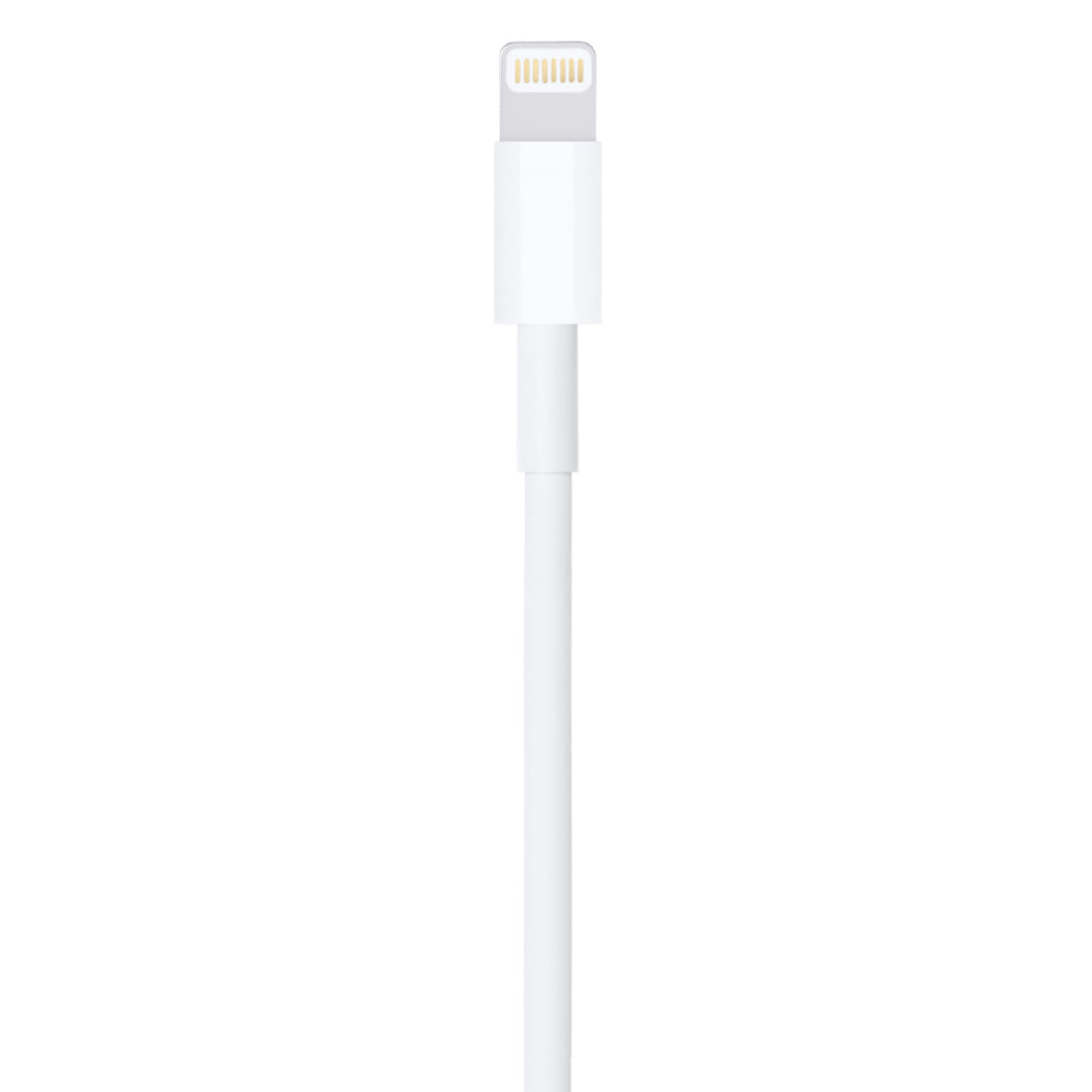 Apple Câble Lightning vers USB 1 m