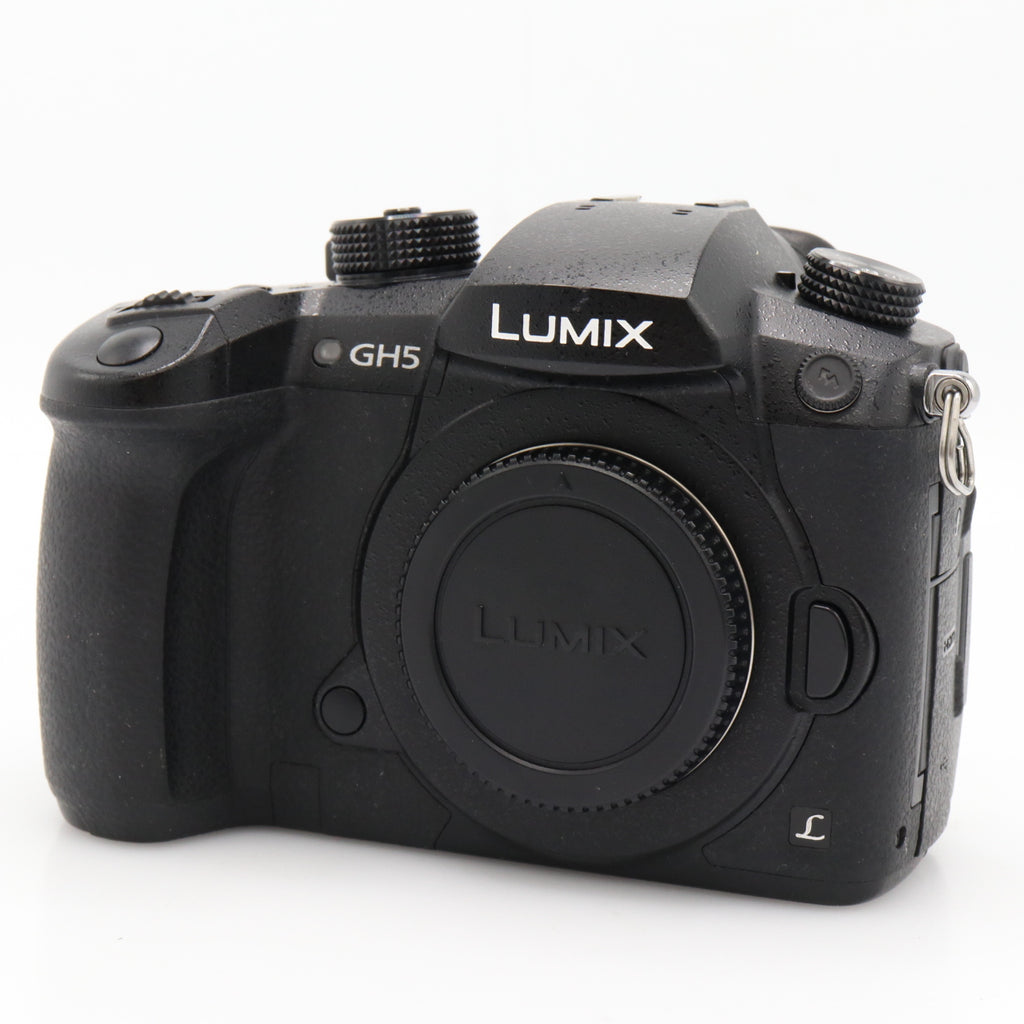 Panasonic Lumix DMC-GH5 body used