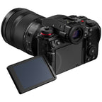 Panasonic Lumix DC-S1R mark II + Lumix S 28-200mm f/4-7.1 MACRO