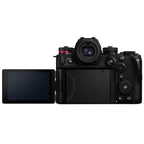 Panasonic Lumix DC-S1R mark II + Lumix S 28-200mm f/4-7.1 MACRO