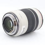 Canon RF 70-200mm f/4 L IS USM occasion