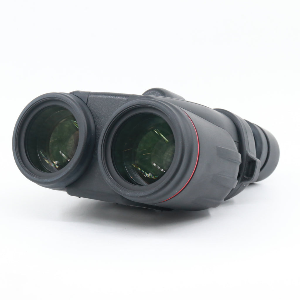 Canon 10x42 L IS WP used