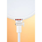 Lampe LED bicolore Falcon Eyes Sophiez SO-28TD III