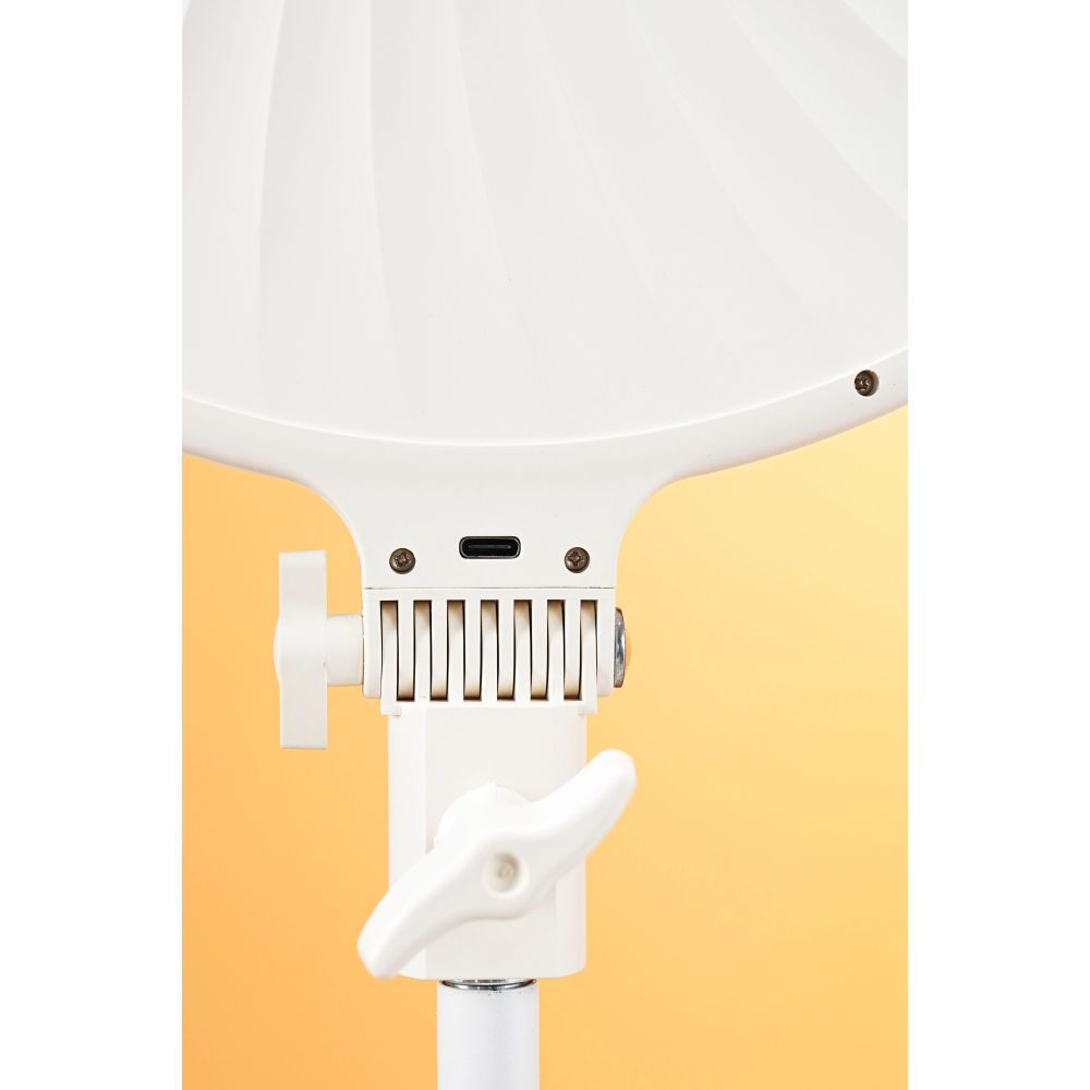 Lampe LED bicolore Falcon Eyes Sophiez SO-28TD III
