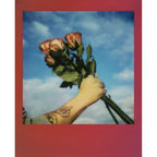 Polaroid GO 2x8 Pack de films avec cadre dégradé