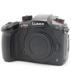 Panasonic Lumix DC-GH5S boîtier occasion