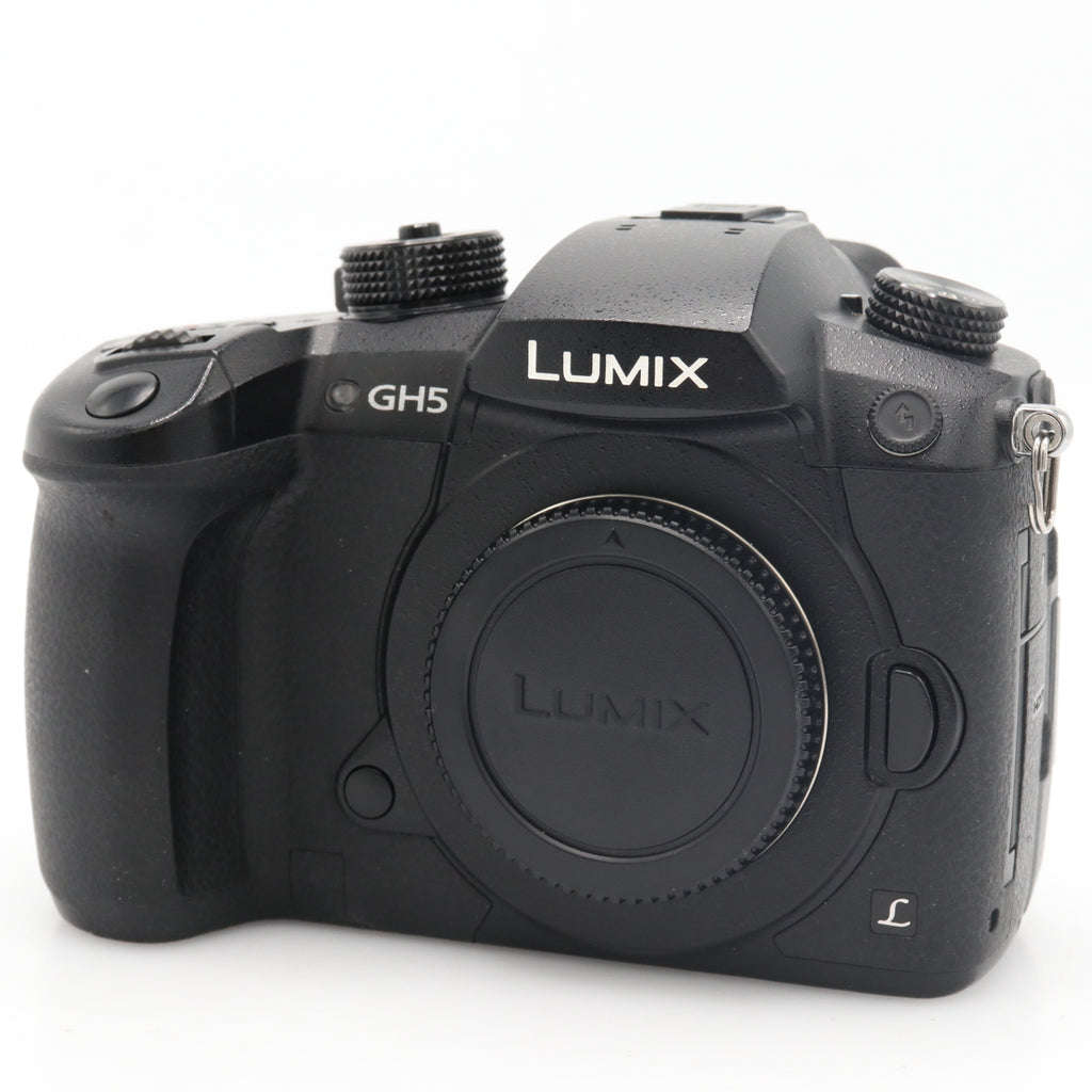 Panasonic Lumix DMC-GH5 body used