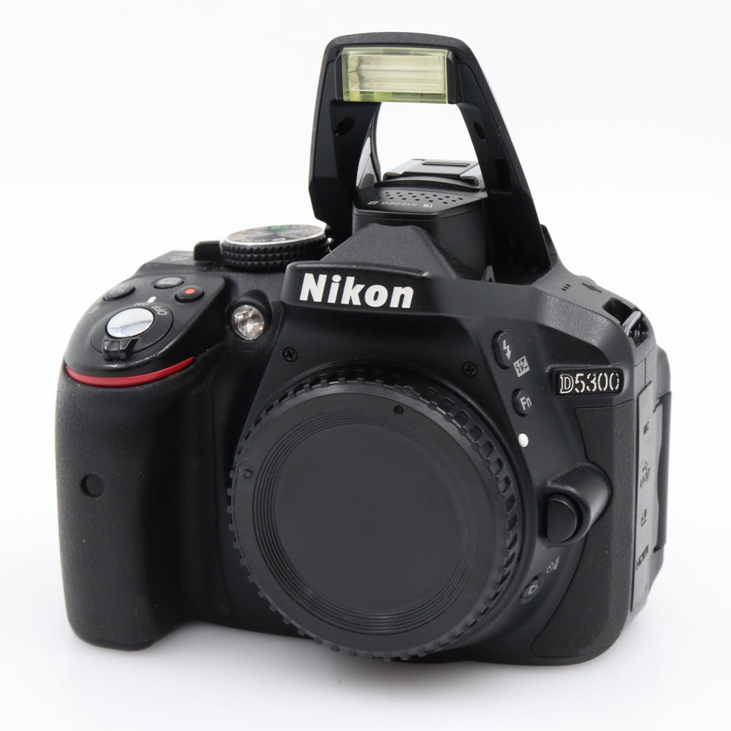 Nikon D5300 boîtier occasion