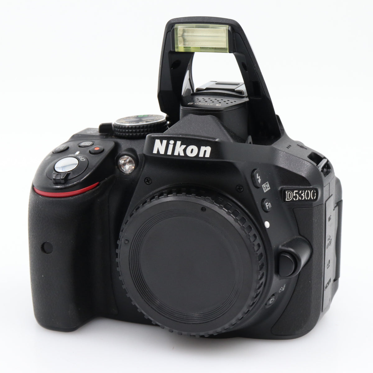 Nikon D5300 boîtier occasion