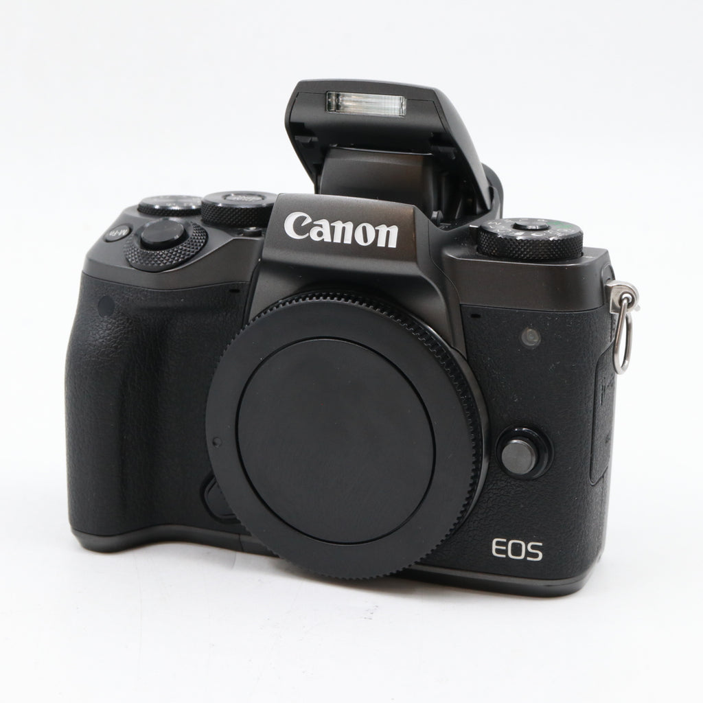 Canon EOS M5 body used