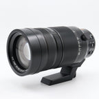 Panasonic Leica DG Vario-Elmar 100-400mm f/4-6.3 ASPH. Power OIS used