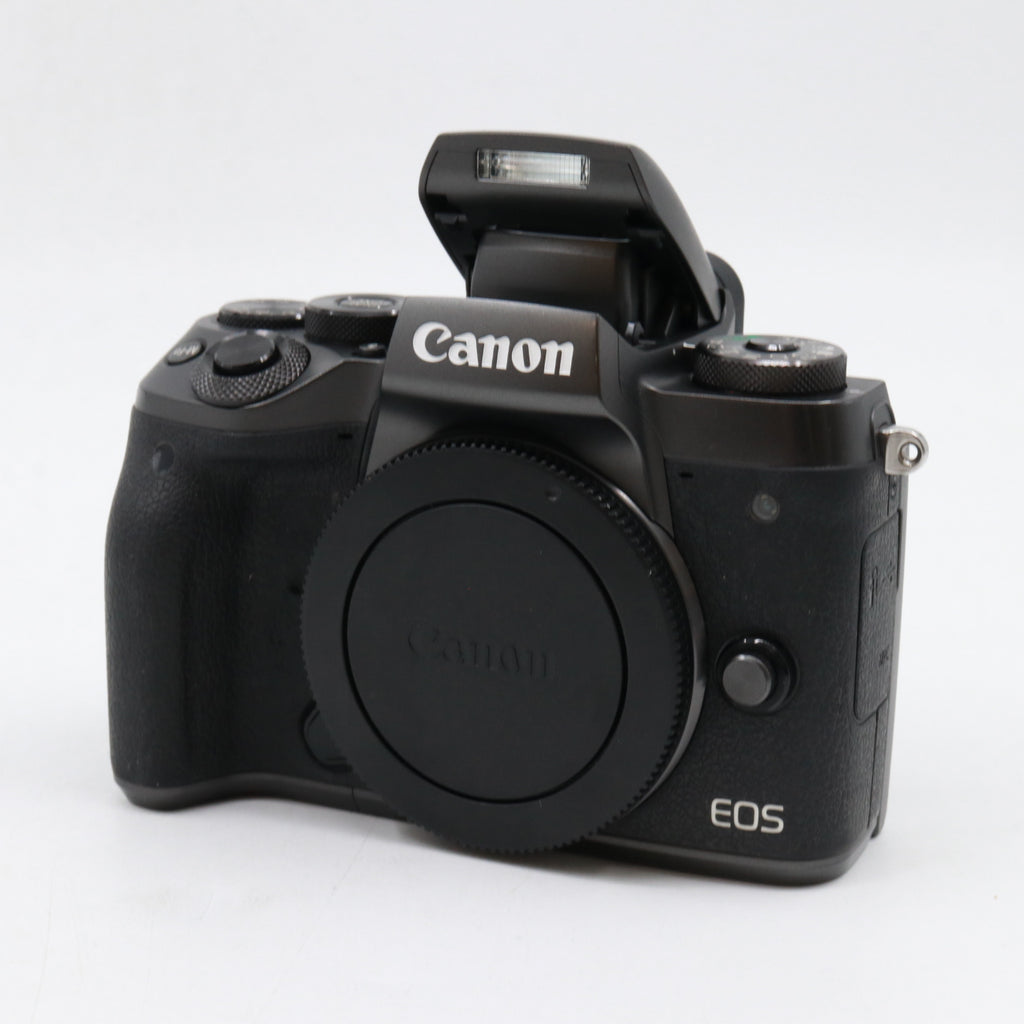 Canon EOS M5 body used