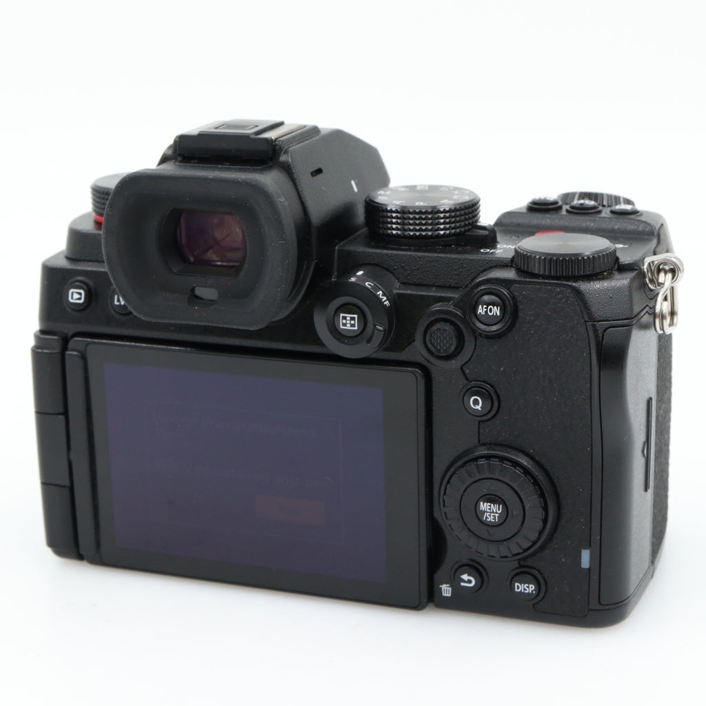 Panasonic Lumix S5D body used