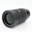 Panasonic Leica DG Vario-Elmar 100-400mm f/4-6.3 ASPH. Power OIS used