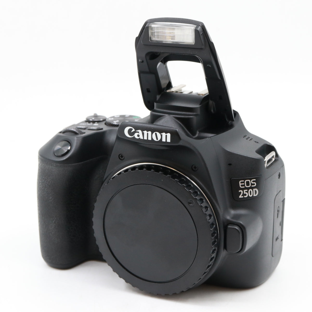 Canon EOS 250D boîtier occasion