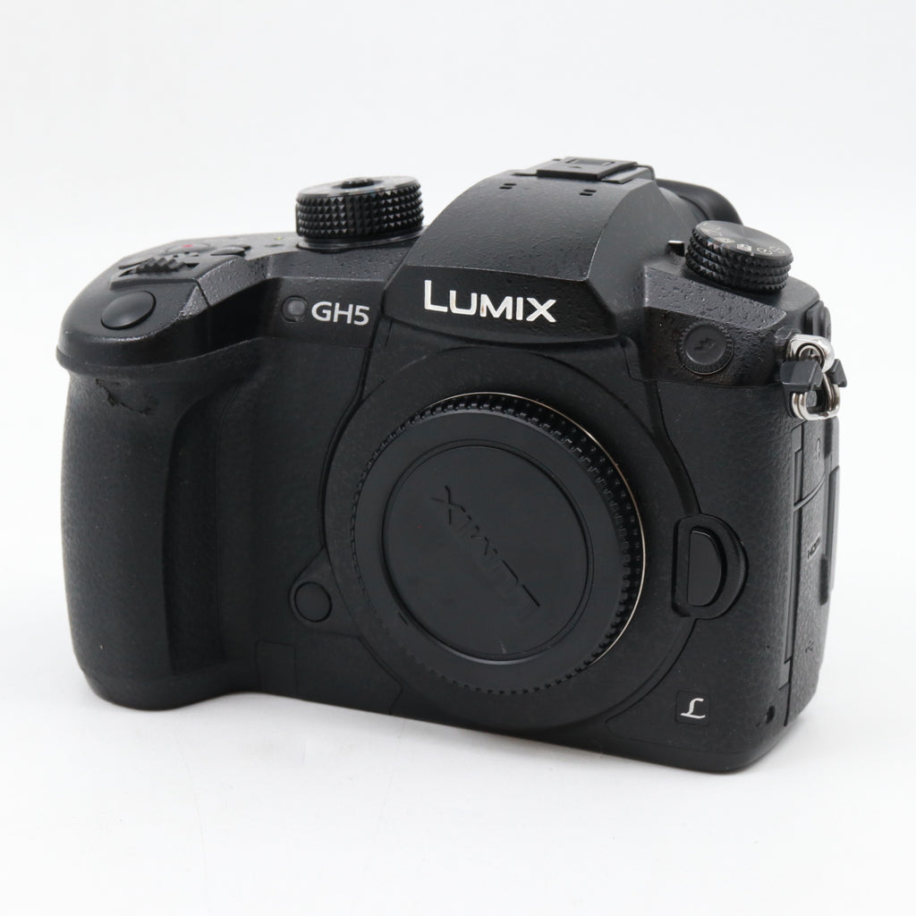 Panasonic Lumix DC-GH5S boîtier occasion