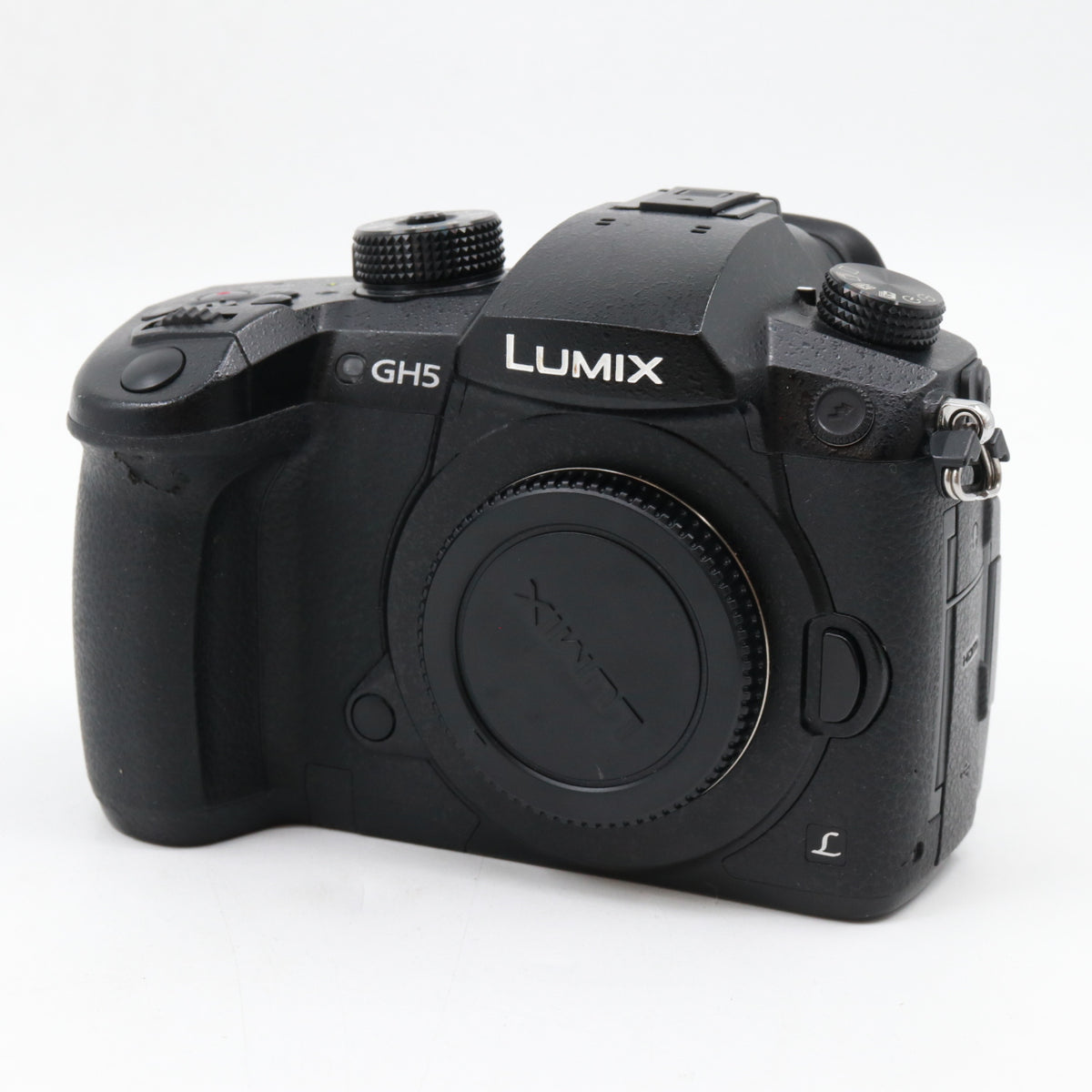 Panasonic Lumix DC-GH5S boîtier occasion