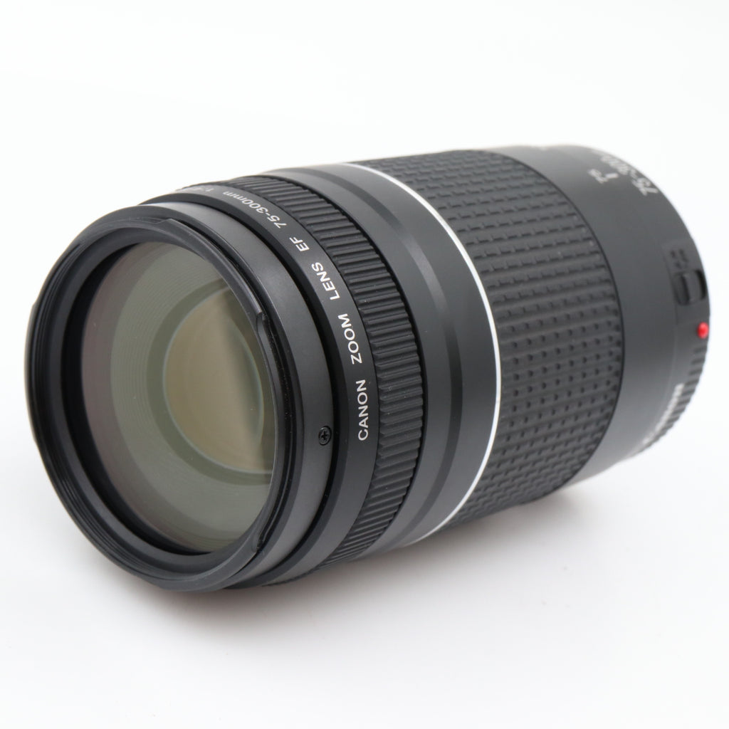 Canon EF 75-300mm F/4-5.6 III occasion