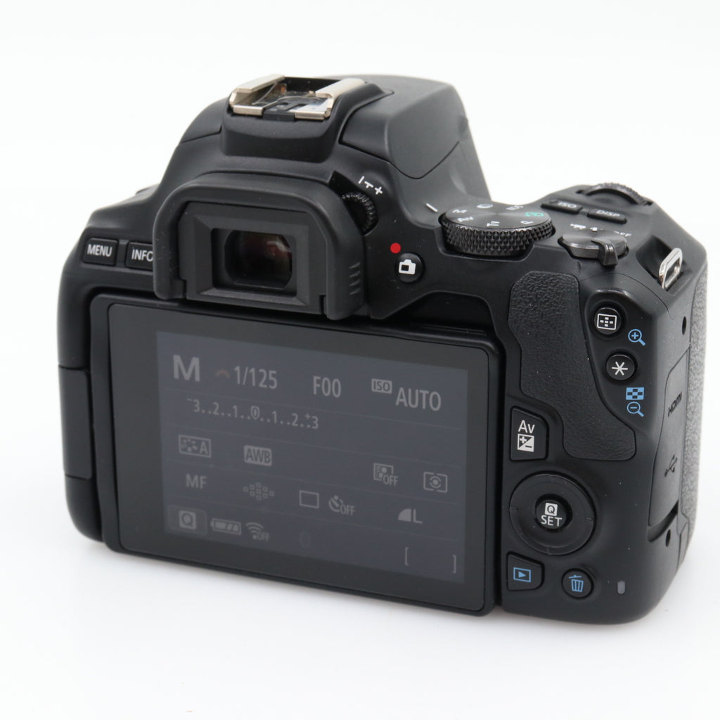Canon EOS 250D body used