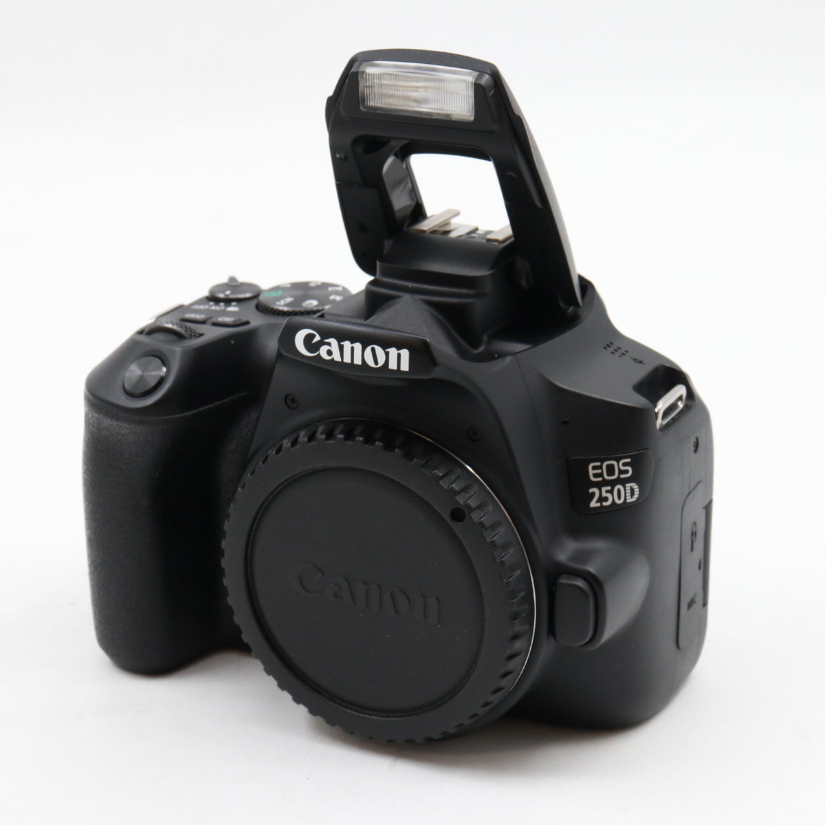 Canon EOS 250D boîtier occasion