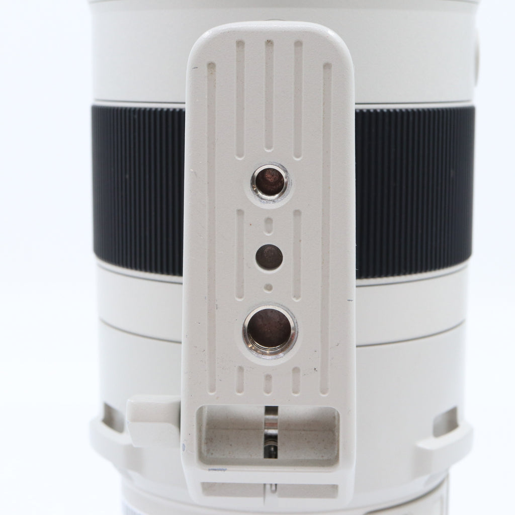 Sony FE 200-600mm f/5.6-6.3 G OSS used