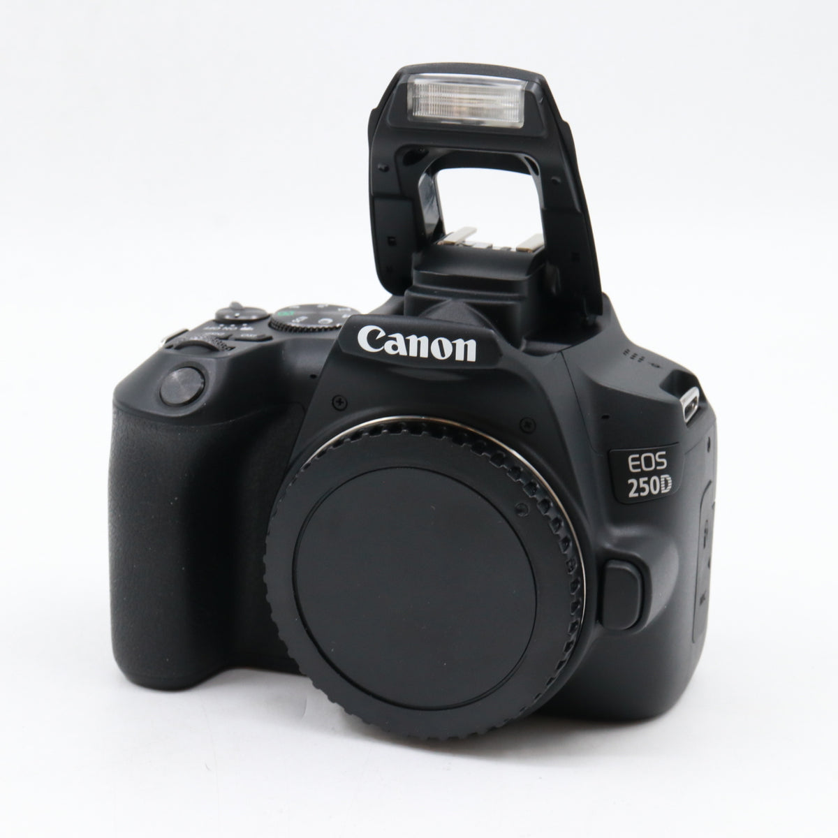 Canon EOS 250D body used