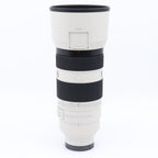 Sony FE 100-400mm f/4.5-5.6 GM OSS used