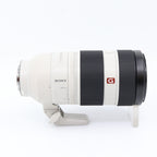 Sony FE 100-400mm f/4.5-5.6 GM OSS used