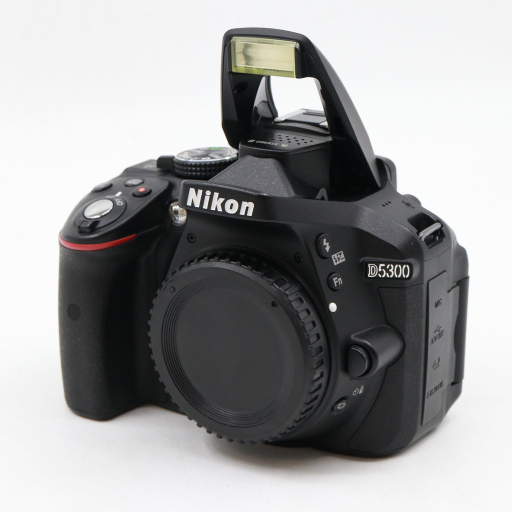 Nikon D5300 boîtier occasion