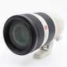 Sony FE 100-400mm F/4.5-5.6 GM OSS used