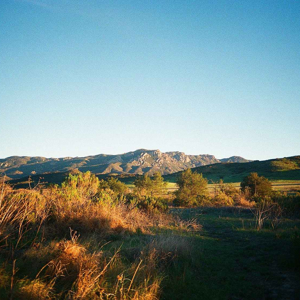 Kodak Ultra Max 400 - 135-36