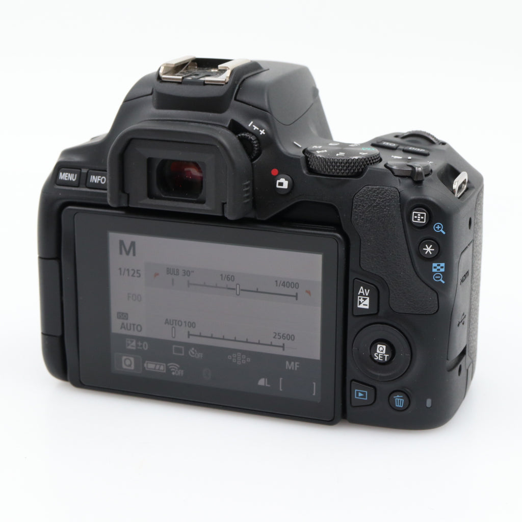 Canon EOS 250D body used